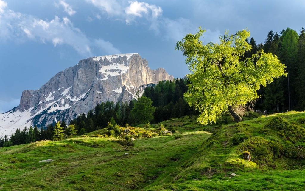 Schoenauerhof Schlanitzen Екстер'єр фото
