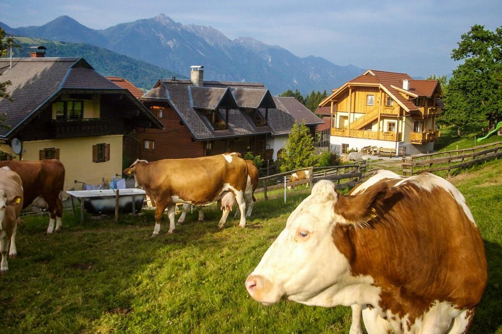Schoenauerhof Schlanitzen Екстер'єр фото